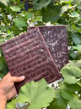 Cacing beku bloodworm cabek pakan ikan