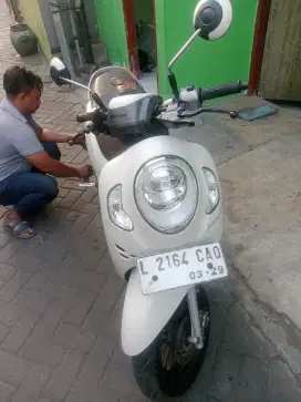 Honda scoopy prestige 2024