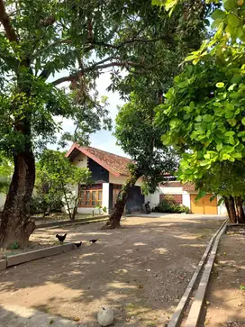 Rumah Klasik Strategis Halaman Luas dekat Malioboro