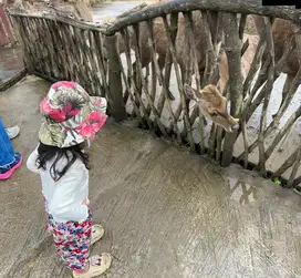 Dicari art yg bs momong bayi 3 bulan