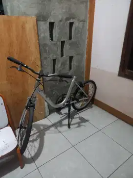 Minion pheonix 20in