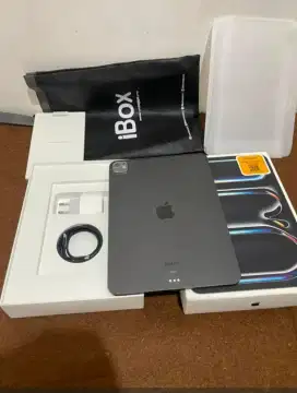 iPad pro M4 256 11 inch