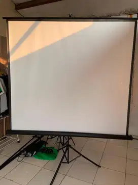Screen projector