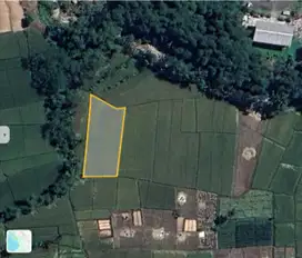Dijual Sawah Produktif di Soreang, Bandung