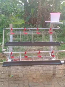 Kandang ayam petelur 2 tingkat