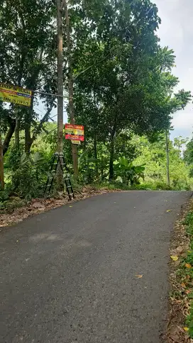 Jual Tanah Murah  Pinggir jalan