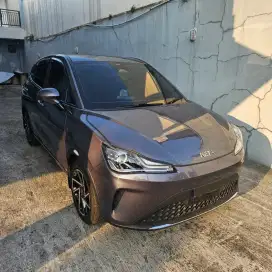 Neta V-II mulus