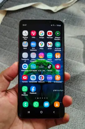 Samsung S9+ 6/128Gb Sein