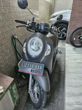 Scoopy styles 2022