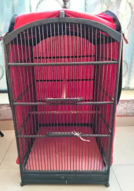 Edisi Bersih Bersih