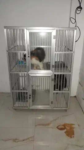 Kandang kucing 2 tingkat