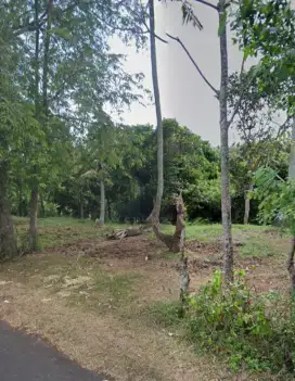 Tanah View Sawah dan Jungle dekat Pantai Kelecung Bali
