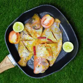 Ikan nila Frozen marinasi tinggal goreng Gaza Fishery