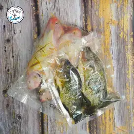 Ikan nila Frozen marinasi tinggal goreng Gaza Fishery
