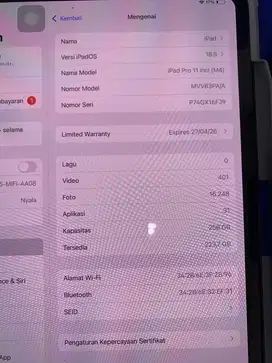Ipad Pro M4 256 11 inchi