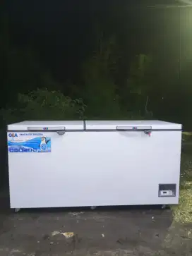 frezzzer box GEA 600lt.