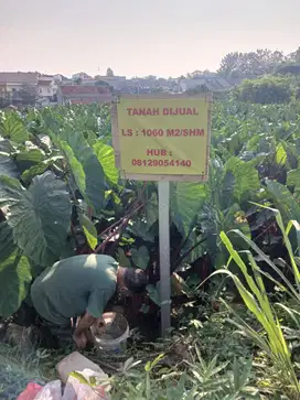 Di Jual Tanah di Cimapar kota Bogorl