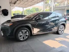 LEXUS UX300e electric