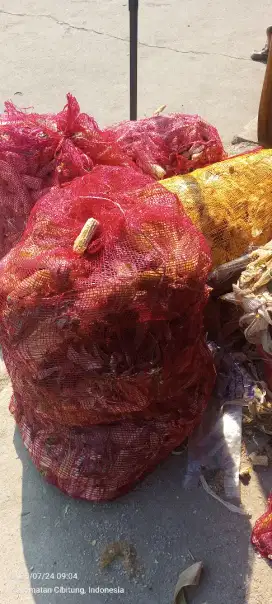 Bonggol sama kulit jagung