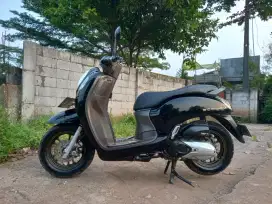 Scoopy keyles 2022