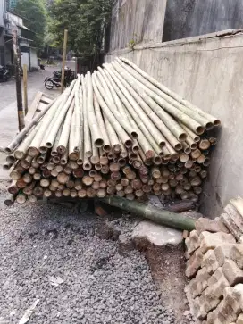 Jual kayu balok dan bambu steger