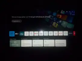LG SMART 50 UHD TV