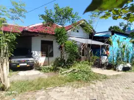 Rumah Tipe 70+ harga 295 juta