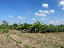 Tanah sawah 407m2