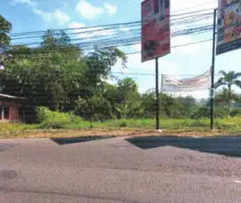 Lelalng Kavling Luas di Jalan Raya Lembang