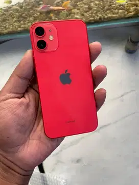 Iphone 12 mini 64 termurah