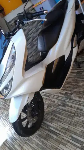 PCX pajak hidup