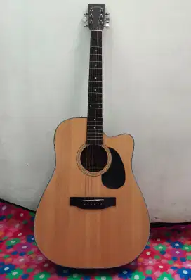 Dijual Gitar Akustik elektrik Delta DD300 CE