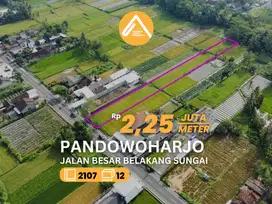 Jual Tanah Pinggir Jalan Pendowoharjo Bagian Belakang Sungai
