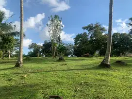 Dijual tanah murah dekat pantai balian beac di tabanan bali