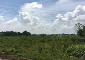 Termurah ! Dijual Tanah Raya Banyu Urip
