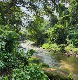 Tanah Los Sungai Pantai Nyanyi Kediri Tabanan Bali