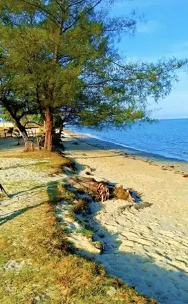 Tanah Di Desa Pegantungan,Badau,Belitung-Depan Pantai Cocok U/ Resort