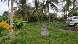 Jua tanah luas kecil lost sungai cantik di tabanan bali
