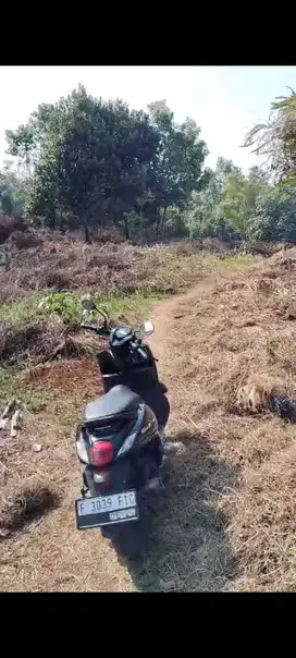 Jual tanah dan kandang ayam masih produktif