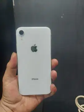 iPhone XR 64GB inter