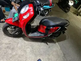 Scoopy 2021 new