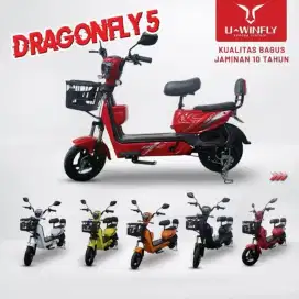 Sepeda Listrik Uwinfly DF5S