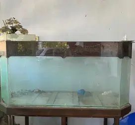 Di Jual Aquarium Bekas Sampangan Semarang