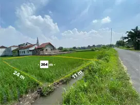 [BU] DIJUAL TANAH PINGGIR JALAN DEKAT DENGAN BANDARA DAN PUSAT KOTA