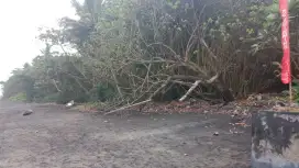 Los pantai wisata Pekutatan