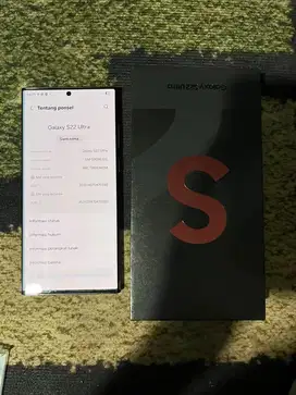 Samsung S22 ultra 256Gb Sein
