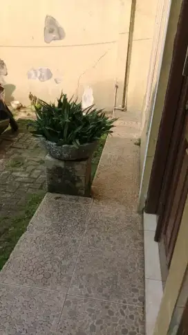 Kost Pisangan Baru Jaktim