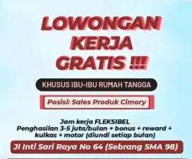 Lowongan Pekerjaan Ibu Rumah tangga(Miss Cimory)