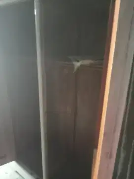 Jual lemari kayu jati 3 pintu