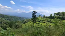 Tanah bagus produktif view lepas gn salak-gn pangrango sangat strtegis